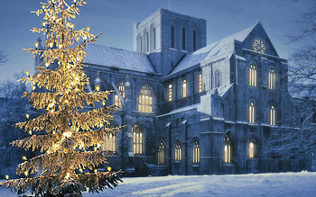 Winter Building, building, Winter, tree, snow HD wallpaper