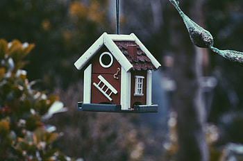 Birds, Miscellanea, Miscellaneous, Small House, Lodge, Trough, Feeder HD wallpaper