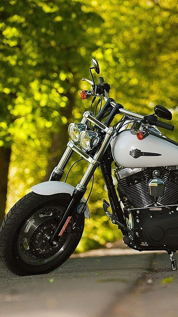 Harly divdsion, , bullet HD phone wallpaper
