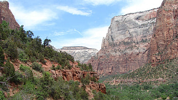 Nature, Trees, Canyon, Break, Precipice, Vegetation, Wall, Height, Shrubs HD wallpaper