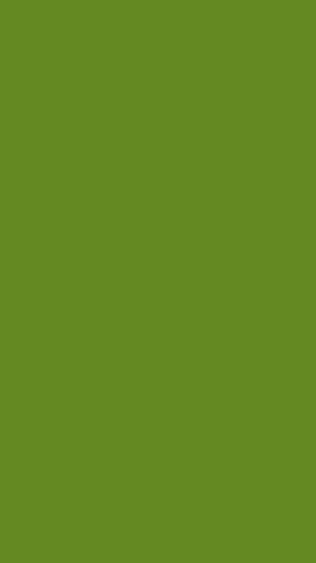 Background, Texture, Textures, Minimalism, Color, Monochromatic, Plain, Khaki HD phone wallpaper