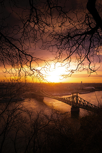 Cities, Sunset, City, Branches, Branch, Bridge HD phone wallpaper