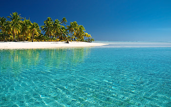 Landscape, Beach, Palms HD wallpaper