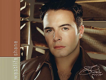 shane, model, more for westlife com, westlife HD wallpaper