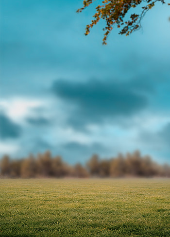 1L15 7vN06ixByFZhmUH3DMc8dwXz6g N (4000×5592). Dslr Blur Background, Blur Background, Dslr Background HD phone wallpaper