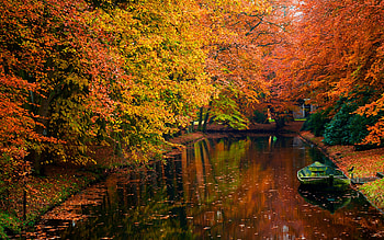 Tree, Boat, Fall, Leaf, Lake, , Water HD wallpaper