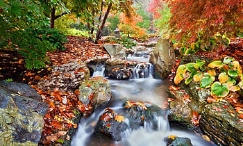 Flowing Colours, river, leaves, autumn, colours, nature, water, rocks HD wallpaper