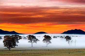 Colors of Nature, cool HD wallpaper