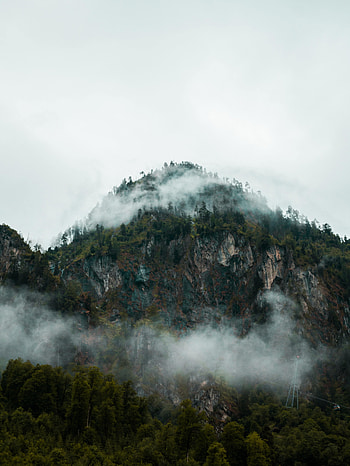 Nature, Mountains, Rocks, Vertex, Top, Forest, Fog HD phone wallpaper