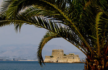 Palmtree at Messina, Greece, palmtree, building, lookthrough, water HD wallpaper