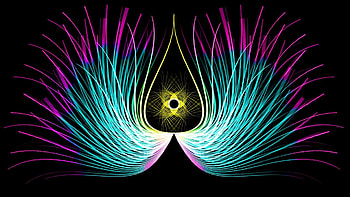 Abstract, Feather, Patterns, Lines, Symmetry HD wallpaper