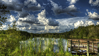Gator Lake, Florida, clouds, hills, water, reflections, usa HD wallpaper