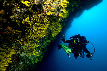 Kornati Diving Center, Croatian diving, Island adventures, Underwater exploration HD wallpaper