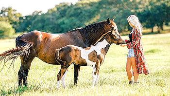 Cowgirl Life, horses, blondes, pony, cowgirls, ranch, boots HD wallpaper