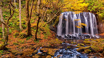 Autumn waterfall, fall, waterfall, autumn, beautiful, forest, foliage, colorful, creek, serenity, leaves HD wallpaper
