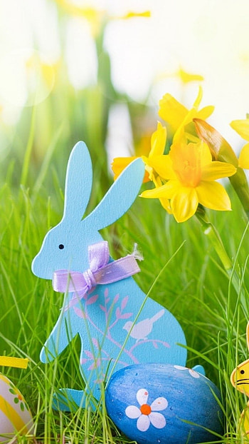 Easter, Grass, Garden Background HD phone wallpaper