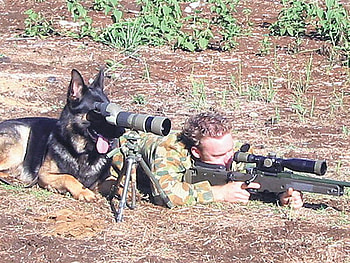 TELESCOPIC DOG, dog, gun, watching, ground HD wallpaper