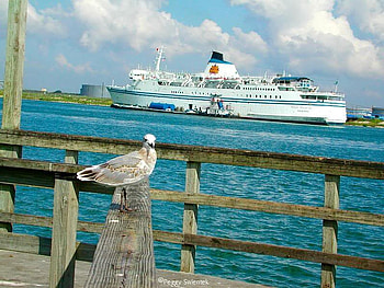 All Aboard the Texas Treasure, ship, sky, bird, water HD wallpaper