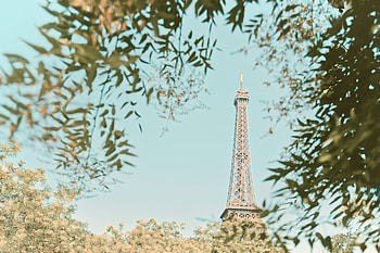 Cities, Trees, Paris, Eiffel Tower, Building, Branches, Tower HD wallpaper
