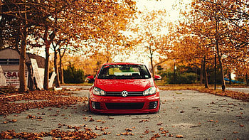 Nature trees cars leaves volkswagen golf r | (41233) HD wallpaper