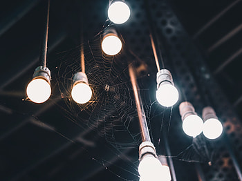 Web, Shine, Light, Miscellanea, Miscellaneous, Illumination, Lighting, Spider, Light Bulbs HD wallpaper