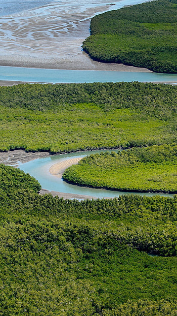 Bissagos archipelago, Bijagos Guinea Bissau, Guinea Bissau UNESCO, Guinea Bissau biosphere reserve HD phone wallpaper