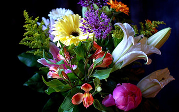 Colorful Bouquet, colorful, bouquet, nature, flowers, lilies, gerbera HD wallpaper
