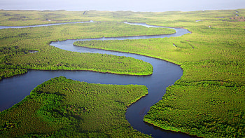 Gambia Travels, Meeting Point International, Destination management, African expertise HD wallpaper