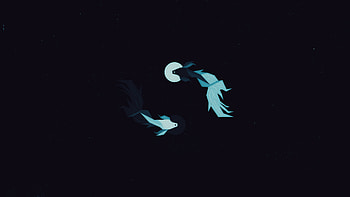 Fish Dark Minimal, fish, dark, black, minimalism, minimalist, artist, artwork, digital-art HD wallpaper