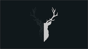 Stag (780512984) by Felicita Villa HD wallpaper