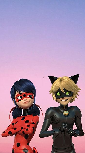 Miraculous Ladybug, Cat Noir, Animation, Characters HD phone wallpaper