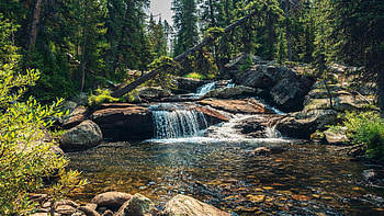 Cloud Peak Wilderness, one of Wyoming's most scenic areas, creek, trees, rocks, forest, usa, stones HD wallpaper