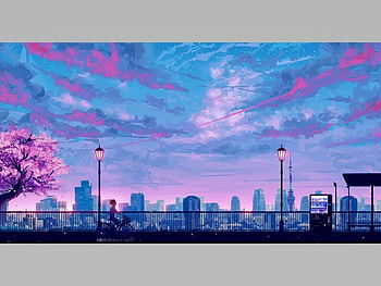City, blossms, pink, sunset HD wallpaper