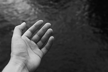 Hand, Miscellanea, Miscellaneous, Palm, Bw, Chb, Fingers HD wallpaper