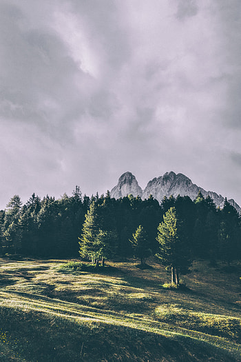 Mountains, trees, Peitlerkofel, Dolomites, Italy HD phone wallpaper