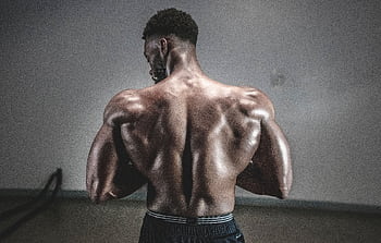 A shirtless man displaying his muscular back, showcasing strength and fitness. HD wallpaper