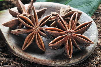 Anise Plant, Spice comparison, Clove versus star anise, Showdown HD wallpaper