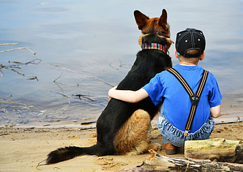 Beach, Sand, Shore, Bank, Miscellanea, Miscellaneous, Dog, Child HD wallpaper
