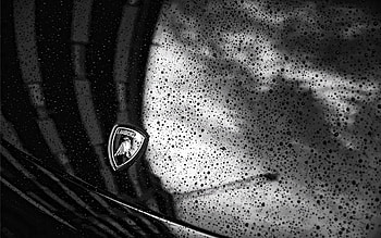 Auto, Brands, Lamborghini HD wallpaper