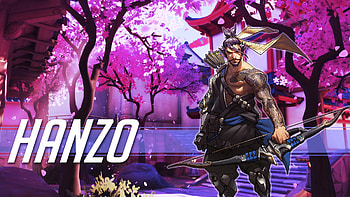 Excellent , Overwatch heroes, Hanzo, Reinhardt HD wallpaper