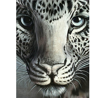 Painted Eyes, human, feline, cat, spots, artwork, illusion, leopard, fantasy, optical HD wallpaper