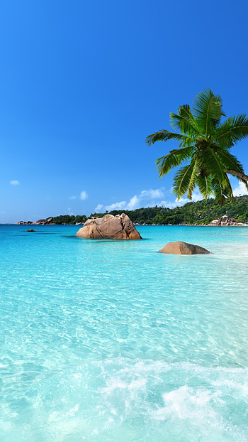 Whitsunday Islands, Anse lazio Praslin island, Seychelles bliss, Travelers' choice awards HD phone wallpaper