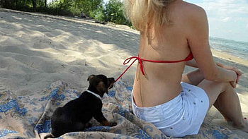 Naughty Pup!, shade, sand, blonde, beach, pup, sitting, pulling on red bikini cord, blanket on sand area, trees, white denim shorts HD wallpaper
