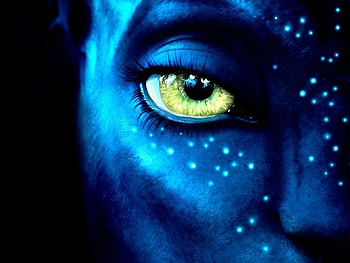 avatar, sahil is goku, jhoncena, dogs, cats, nature, micheal jackson HD wallpaper