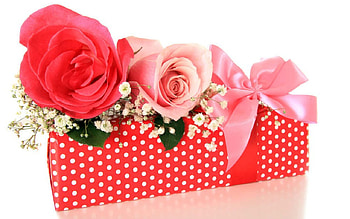 Roses for You, ribbons, flowers, roses, box HD wallpaper