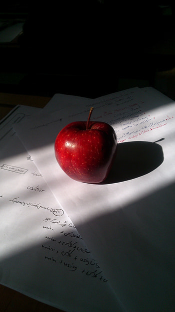 Paper notes, Food HD phone wallpaper