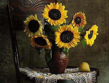 still life, chair, great, bouquet, graphy, lace, sunflower, beauty, nice, sunflowers, petals, fruit, , amazing, vase, beautiful, pear, old, pretty, cool, lovely, harmony HD wallpaper