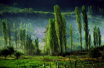 karadeniz-turkey, nature HD wallpaper