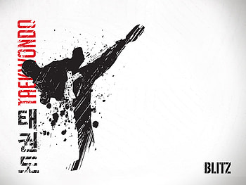 Blitz Taekwondo (1920 x 1440) HD wallpaper
