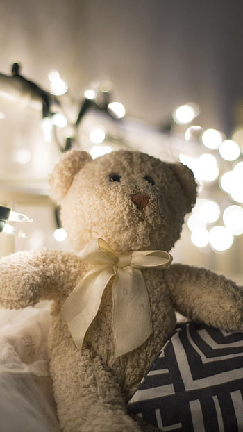 Teddy Bear, Golden Bear HD phone wallpaper